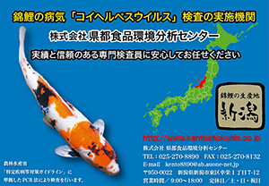 ������Ќ��s�H�i�����̓Z���^�[�w�ь�̎������x�f�ڍL��